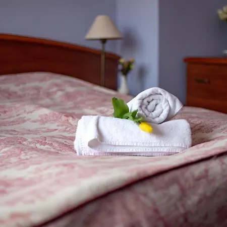 Barbara מלון Oborniki Śląskie